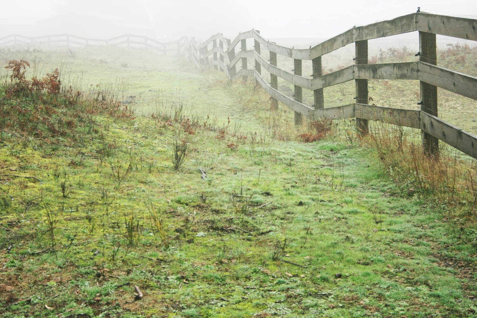 Pasture & Shelter