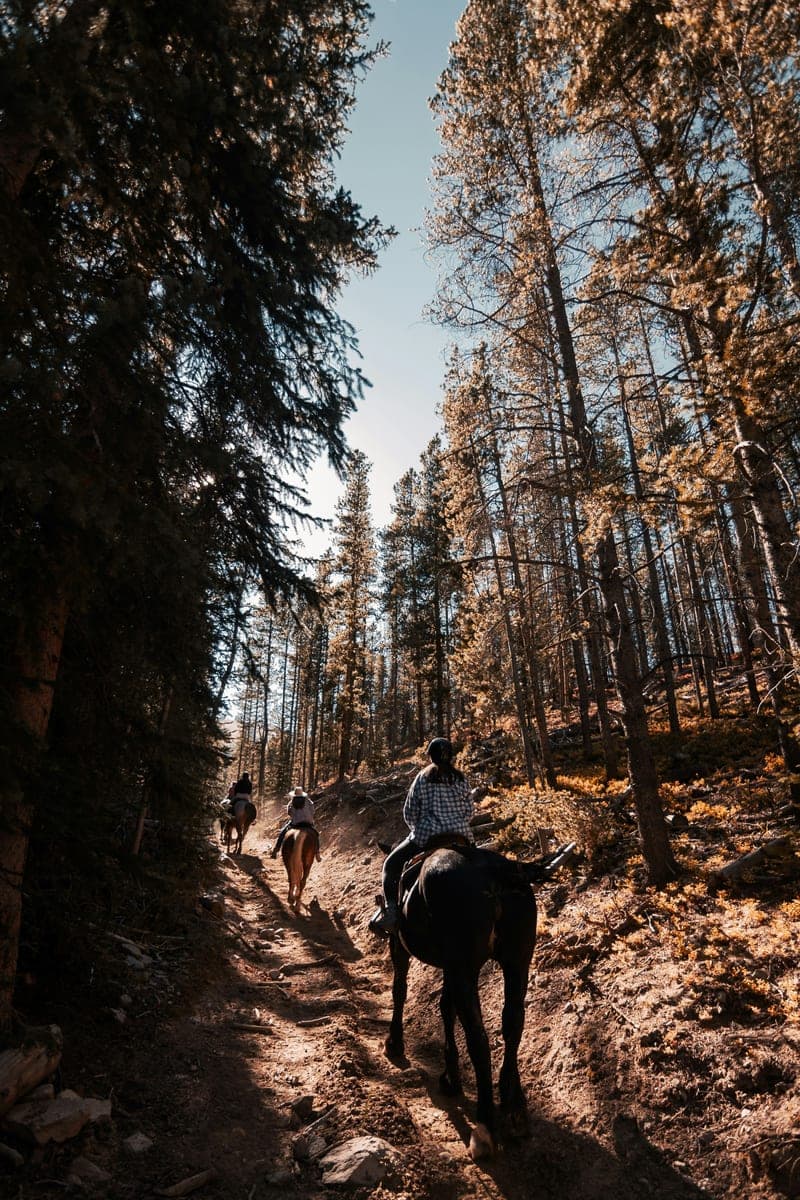Ridge Trails