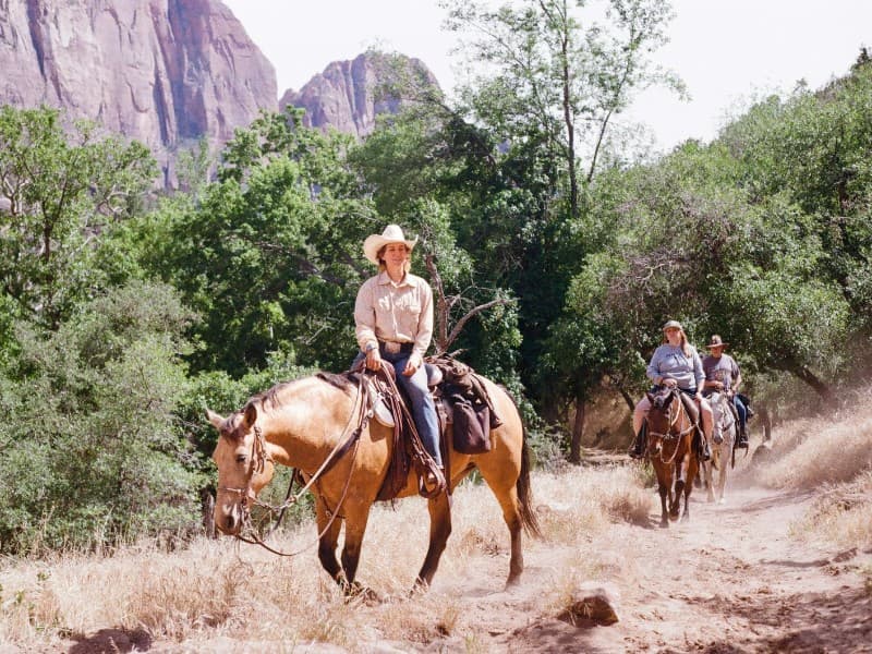 Guided Trail Ride service featured image